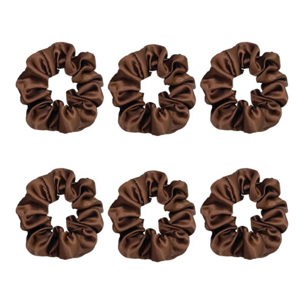 Silk Hair Scrunchies Set (6 pieces)