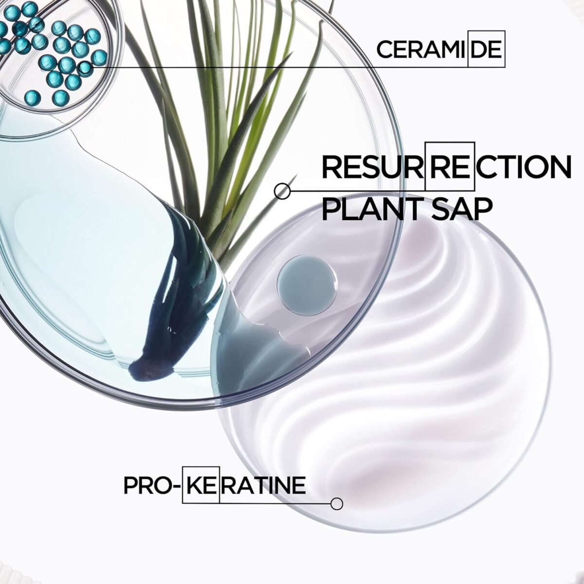 Kérastase Resistance Bain Force Architecte Shampoo (250ml) - Image 3